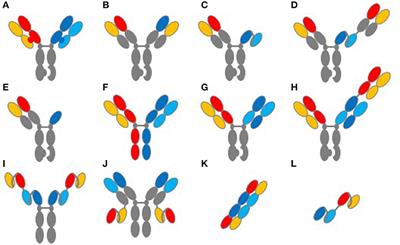 Perspective: Designing T-Cell Engagers With Better Therapeutic Windows